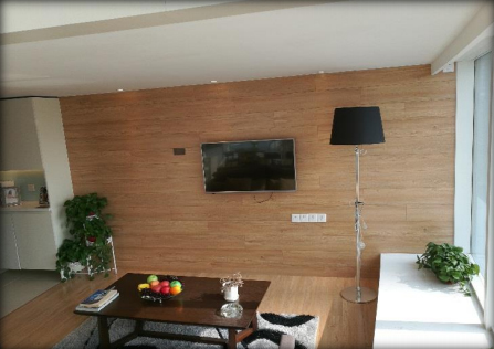 Выставка проектов сотрудничества (A03-E реальная сцена в Нантонг, Центральный Юг)